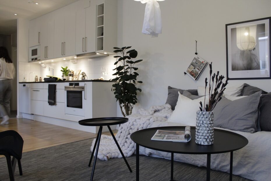 kitchen lamps ina Bulgaria apartamanetn, white kitchen with a black table and big green plant behind